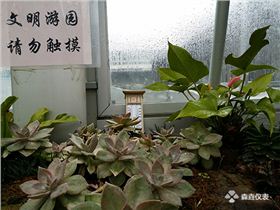 常用的溫度計(jì)是什么溫度計(jì)？