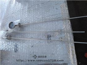 衛(wèi)生型卡盤連接溫度計成功案例超長探桿.jpg 衛(wèi)生型卡盤連接溫度計成功案例超長探桿.jpg