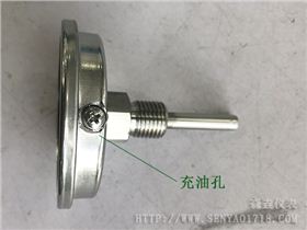 雙金屬溫度計(jì)充油主要目的是什么？