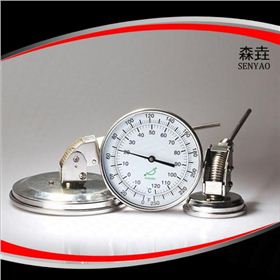 雙金屬溫度計(jì) 雙金屬溫度計(jì)