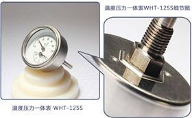 溫度計壓力表一體的儀表有嗎?