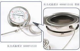 壓力式溫度計(jì) 壓力式溫度計(jì)