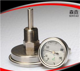 充油雙金屬溫度計(jì)
