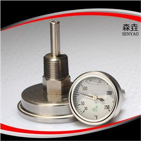 雙金屬溫度計(jì) 雙金屬溫度計(jì)