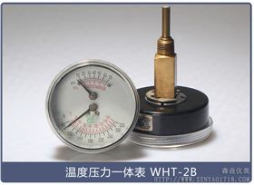 溫度壓力一體表 溫度壓力一體表