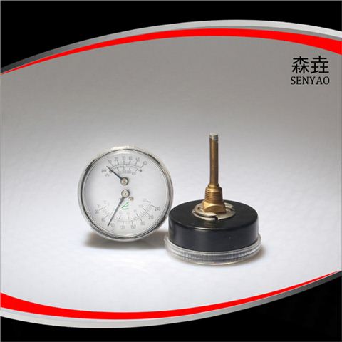 溫度壓力一體表 溫度壓力一體表