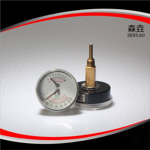 溫度壓力一體表 溫度壓力一體表