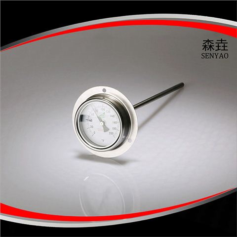帶后法蘭雙金屬溫度計(jì)