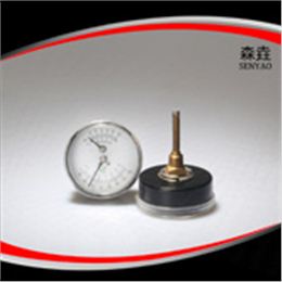 溫度壓力一體表 型號：WHT-1B