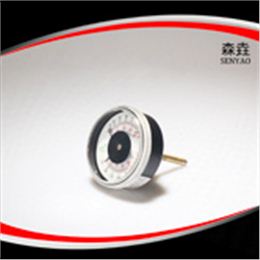 溫度壓力一體表 型號：WHT-1A