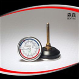 溫度壓力一體表 型號(hào)：WHT-6