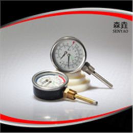 溫度壓力一體表  型號(hào)：WHT-7