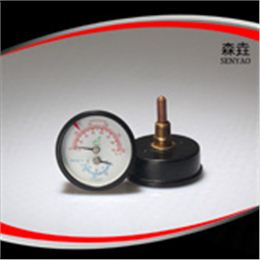 溫度壓力一體表  型號(hào)：WHT-12S