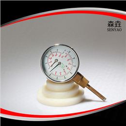 溫度壓力一體表  型號：WHT-13I