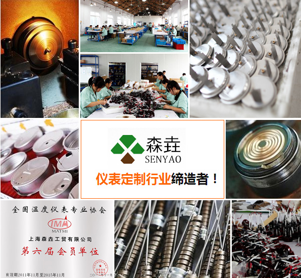 上海森垚工貿(mào)有限公司