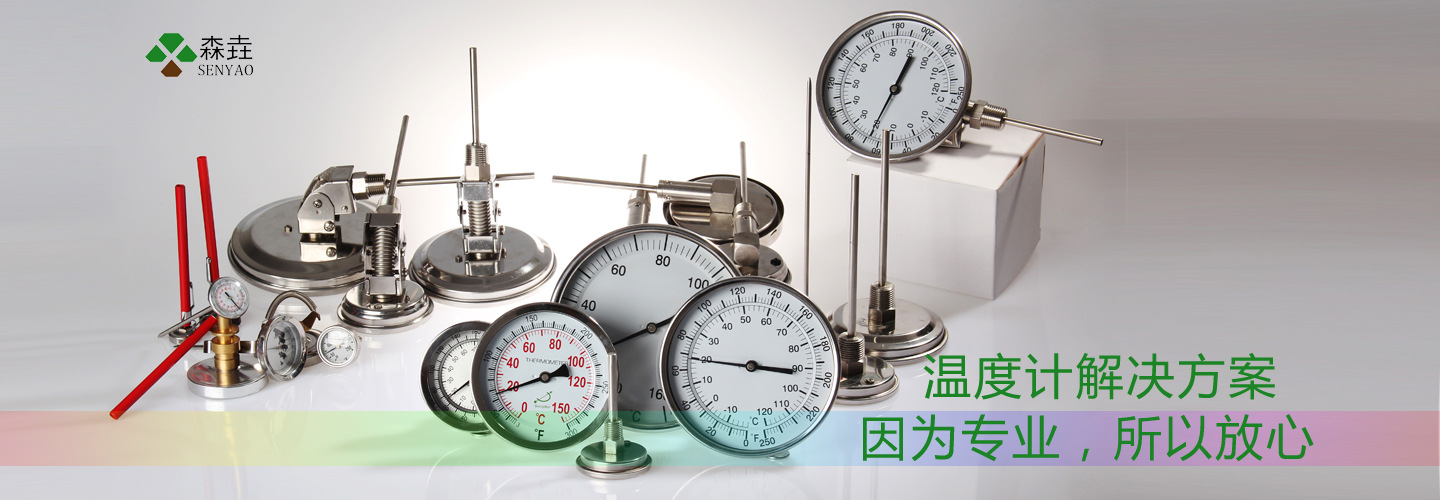 上海溫度計專業(yè)生產廠家.jpg 上海溫度計專業(yè)生產廠家.jpg