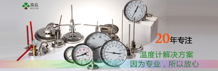 森垚儀表20年專注溫度計(jì)定制.jpg