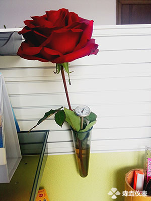 花卉溫度計(jì).jpg