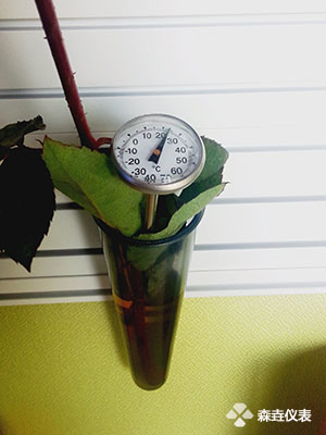 玫瑰花卉溫度計(jì).jpg