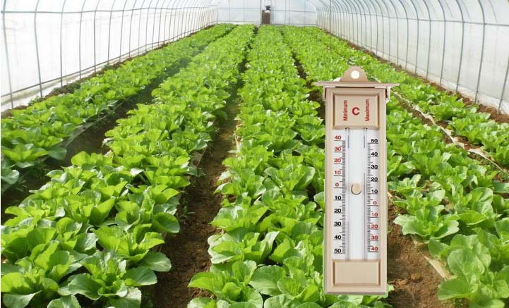 如何更好地控制大棚的溫度