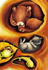 動物身體里奇妙的“溫度計”