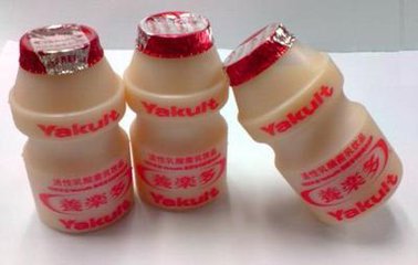 冰柜溫度計(jì)保護(hù)乳酸菌存活