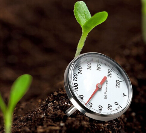 我們需要溫度計(jì)來(lái)呵護(hù)花中西施