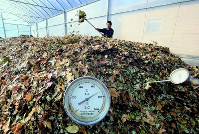 你對堆肥溫度計了解多少？