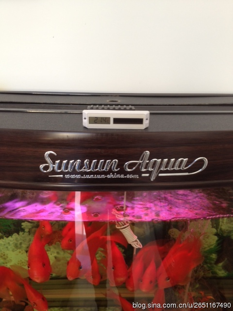 魚缸電子溫度計(jì).jpg 魚缸電子溫度計(jì).jpg