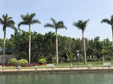 森垚儀表工會(huì)活動(dòng)-廈門(mén) (3).jpg