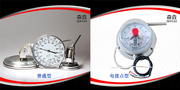 如何區(qū)分雙金屬溫度計型號WSS和WSSX？