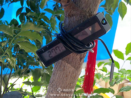 你知道上海幾月份最適合旅游嗎？