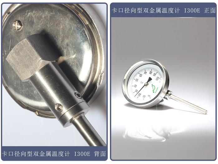 徑向型雙金屬溫度計(jì) 徑向型雙金屬溫度計(jì)