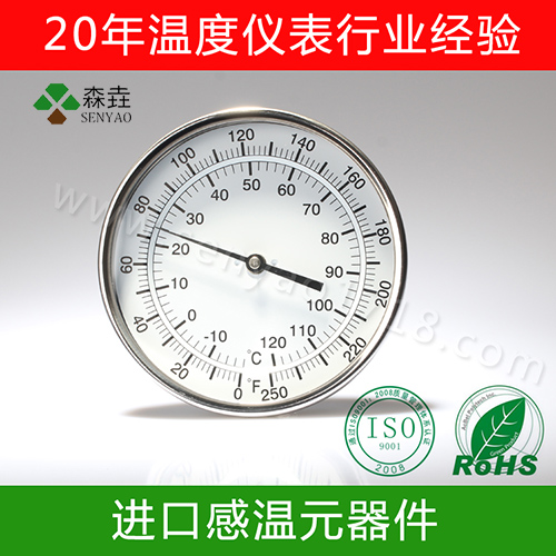5”軸向雙金屬溫度計(jì)T500C.jpg