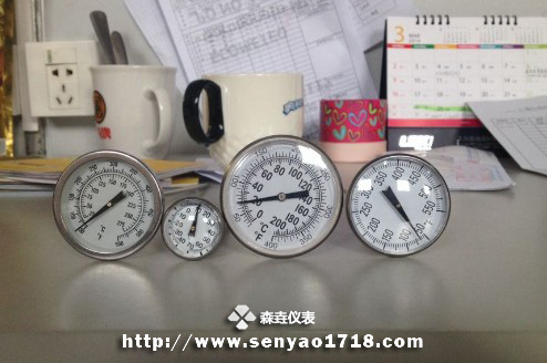 食品企業(yè)選擇哪款溫度計(jì)合適？