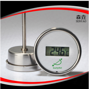 數(shù)字溫度計