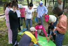 拓展活動(dòng)四