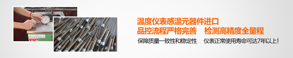 溫度儀表感溫元器件進口、品控流程嚴格完善、檢測高精度全量程