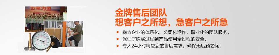 金牌售后團(tuán)隊(duì)，想客戶之所想，急客戶之所急