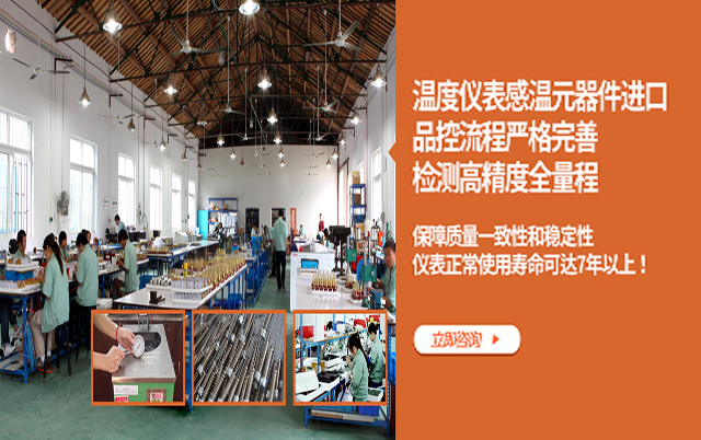 溫度儀表感溫元器件進(jìn)口  檢測(cè)高精度全量程